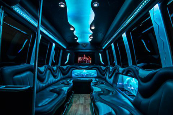 14-passenger party bus interior