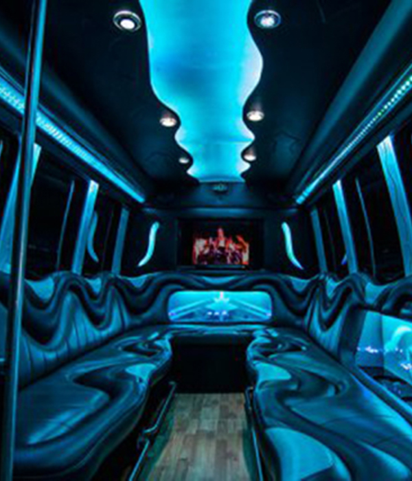 Party bus rental